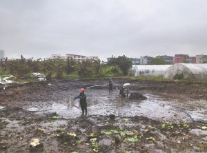 通化河道鱼塘清淤